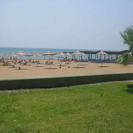 Korkmaz *